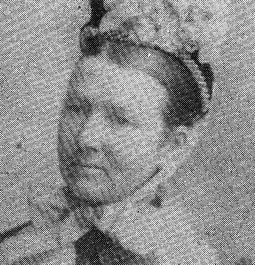 Photo of photos/Flora Smyth nee McLennan 1830-1930 portrait crop